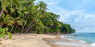 landscape photography of seashore under cumulus clouds